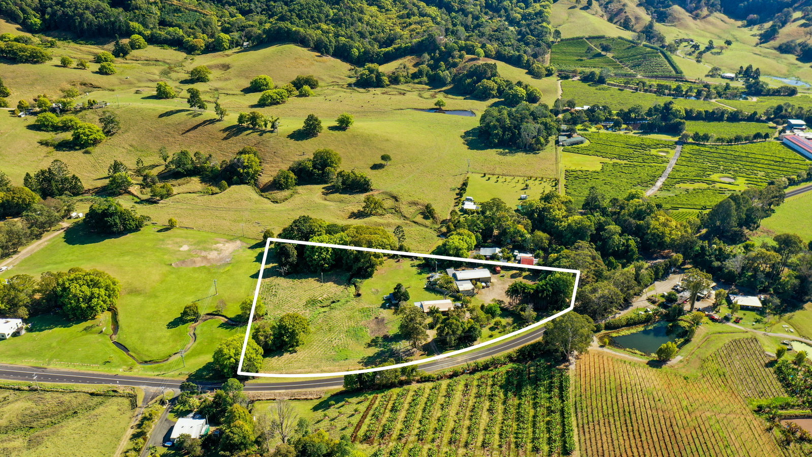 701 Clothiers Creek, Clothiers Creek, NSW, 2484, Clothiers Creek - Thumbnail 2