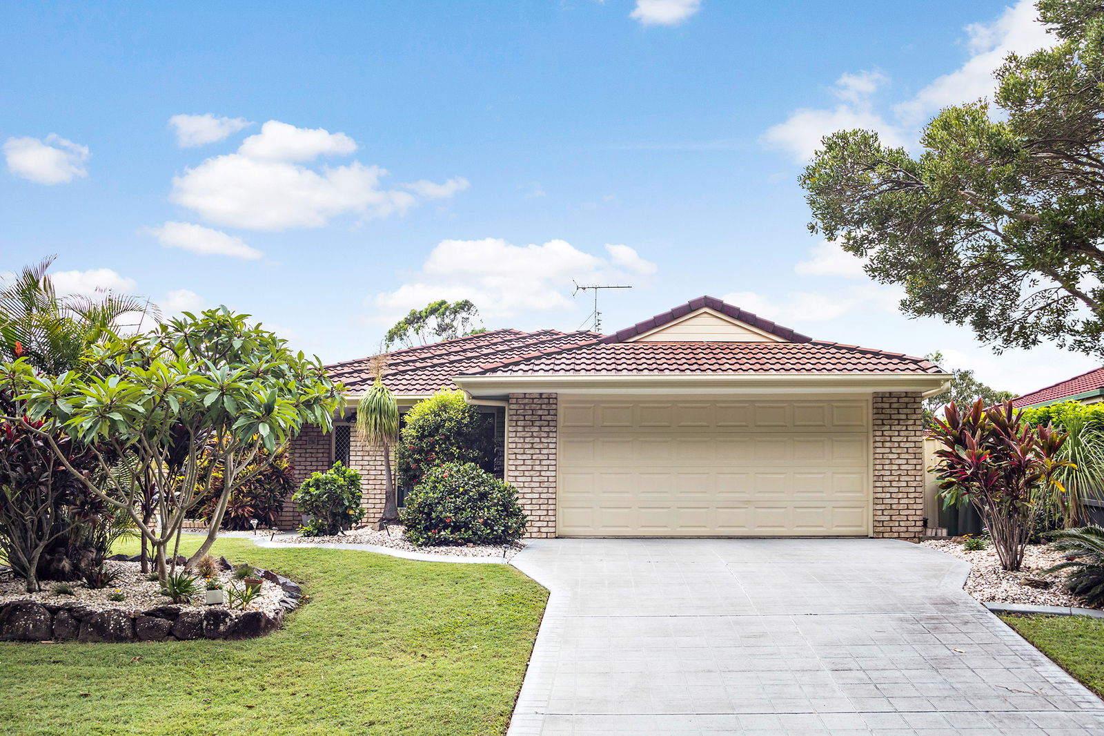 Main listing image for 16 Livistona Crescent, Currimundi  QLD  4551
