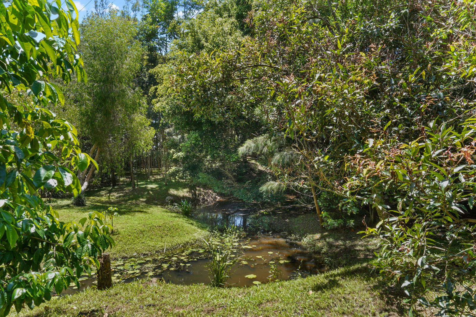 Main listing image for 625 Clothiers Creek Road, Clothiers Creek  NSW  2484