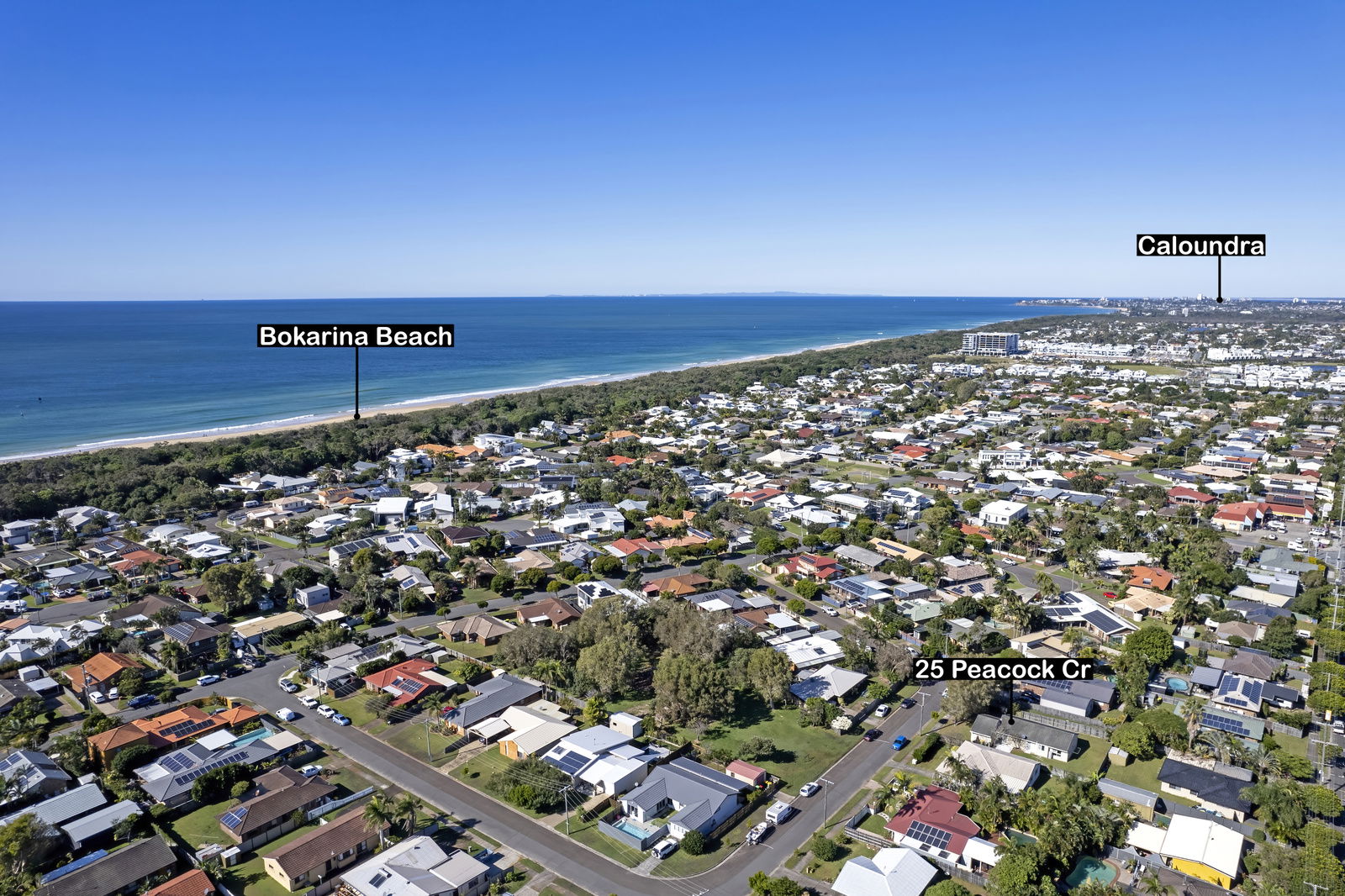 Main listing image for 25 Peacock Crescent, Bokarina  QLD  4575