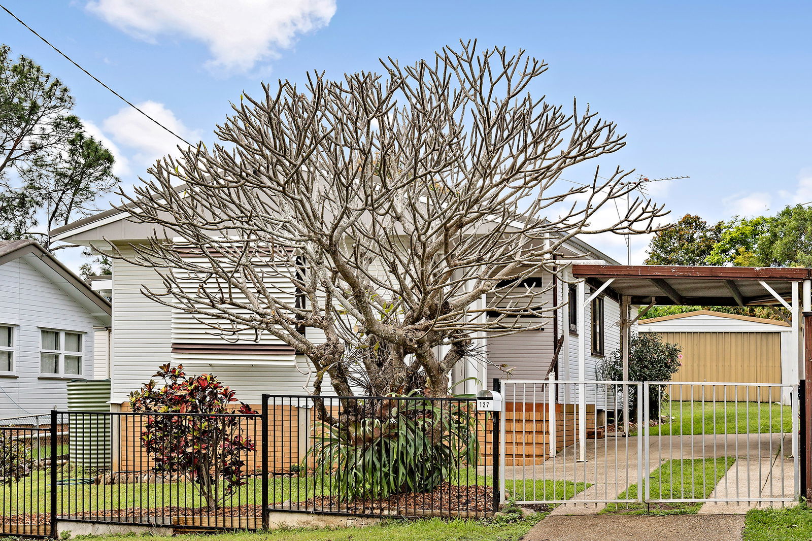 Main listing image for 127 Miles Street, Bald Hills  QLD  4036