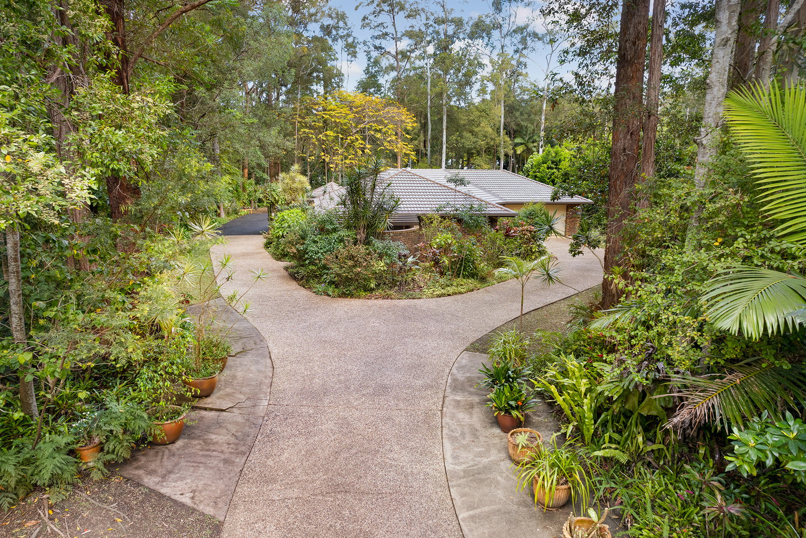 8 Adriano Court, Palmview, QLD, 4553, Palmview - Thumbnail 2