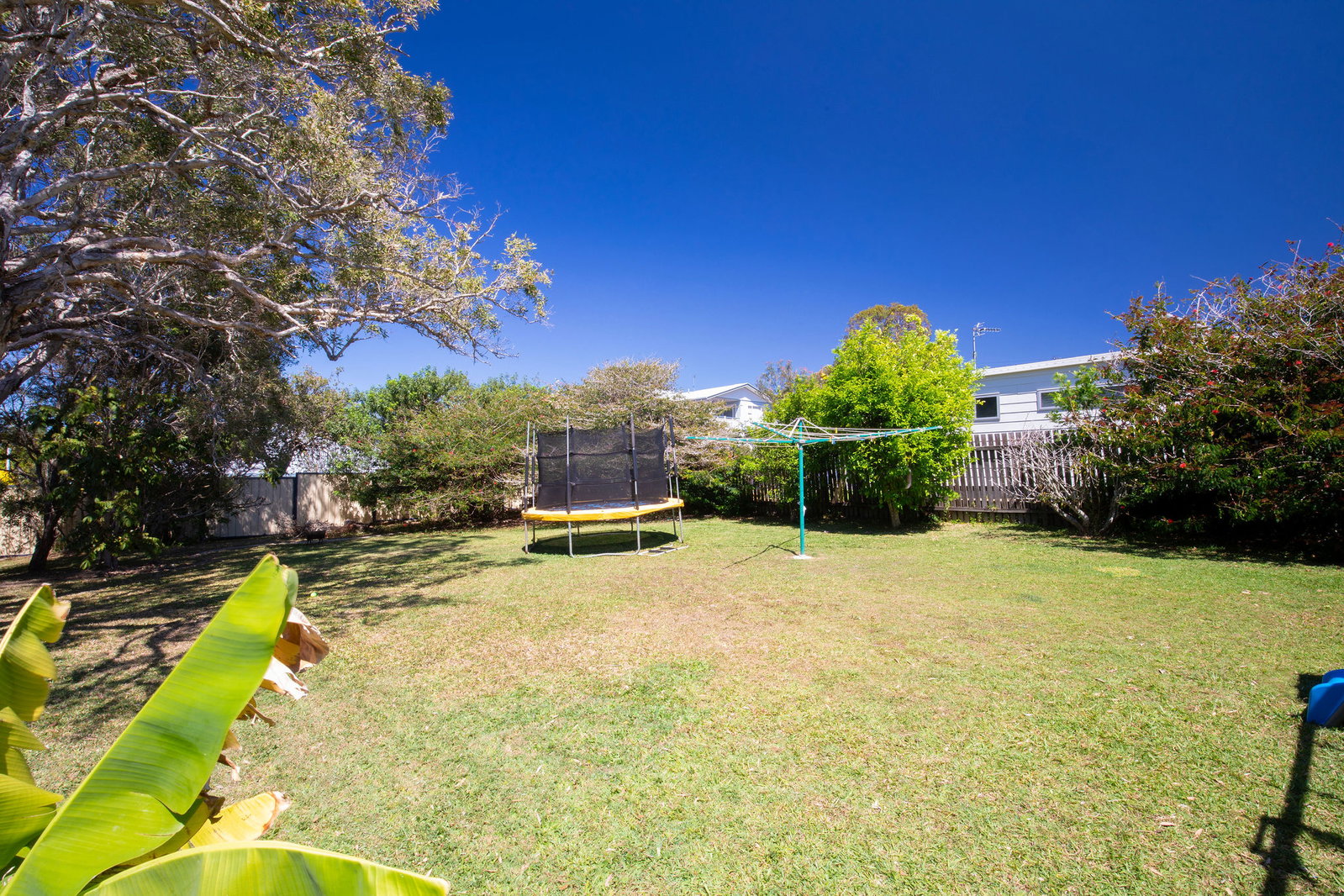 86 Cooroora Street, Dicky Beach, QLD, 4551, Dicky Beach - Thumbnail 6