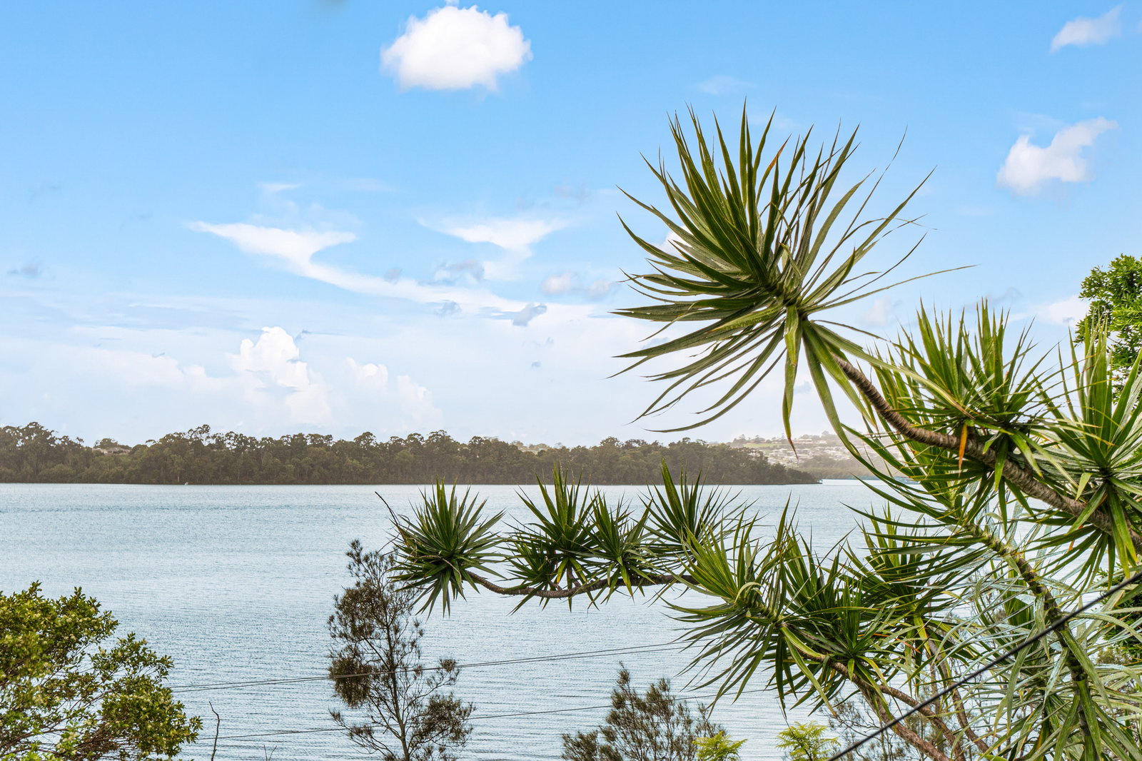 136 Broadwater Esplanade, Bilambil Heights, NSW, 2486, Bilambil Heights - Thumbnail 4
