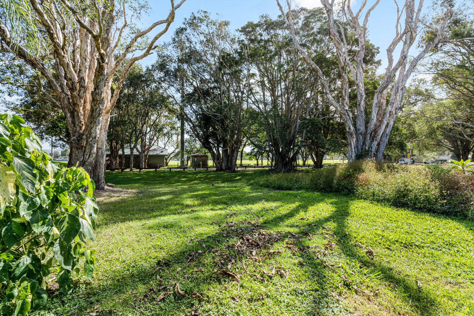 101 Mallawa Drive, Palm Beach, QLD, 4221, Palm Beach - Thumbnail 8