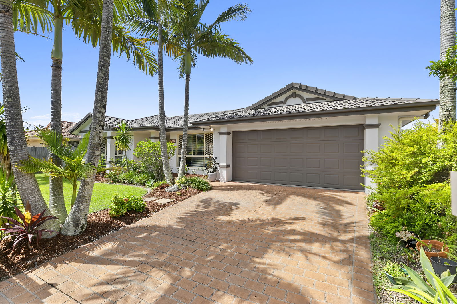 Main listing image for 7 Mako Court, Mountain Creek  QLD  4557