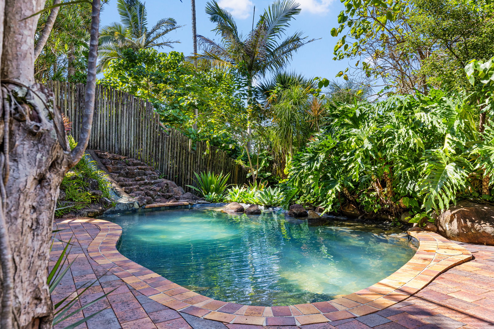 25 Panorama Drive, Tweed Heads West, NSW, 2485, Tweed Heads West - Thumbnail 2