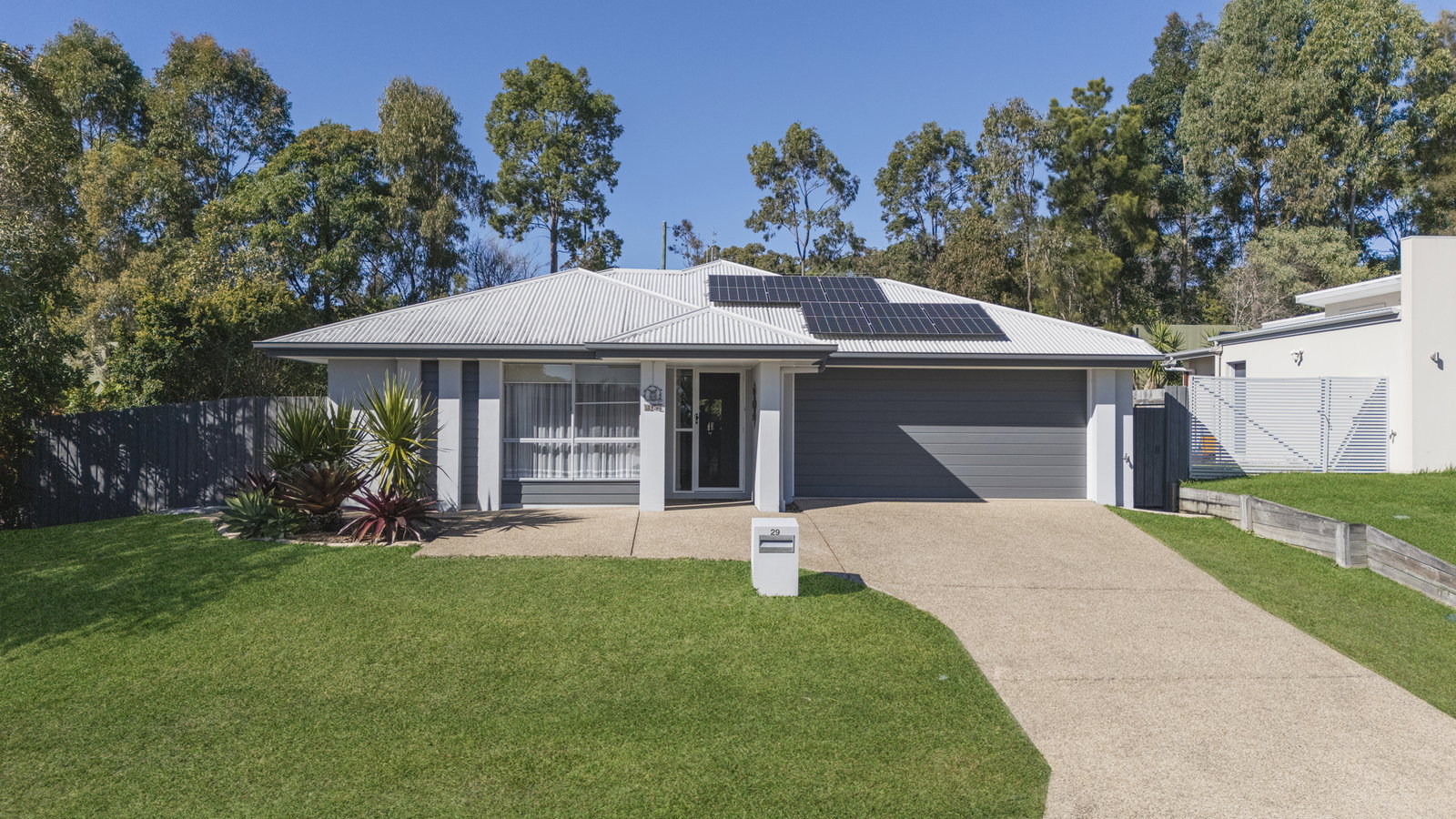 29 Galah Place, Mountain Creek, QLD, 4557, Mountain Creek - Thumbnail 3