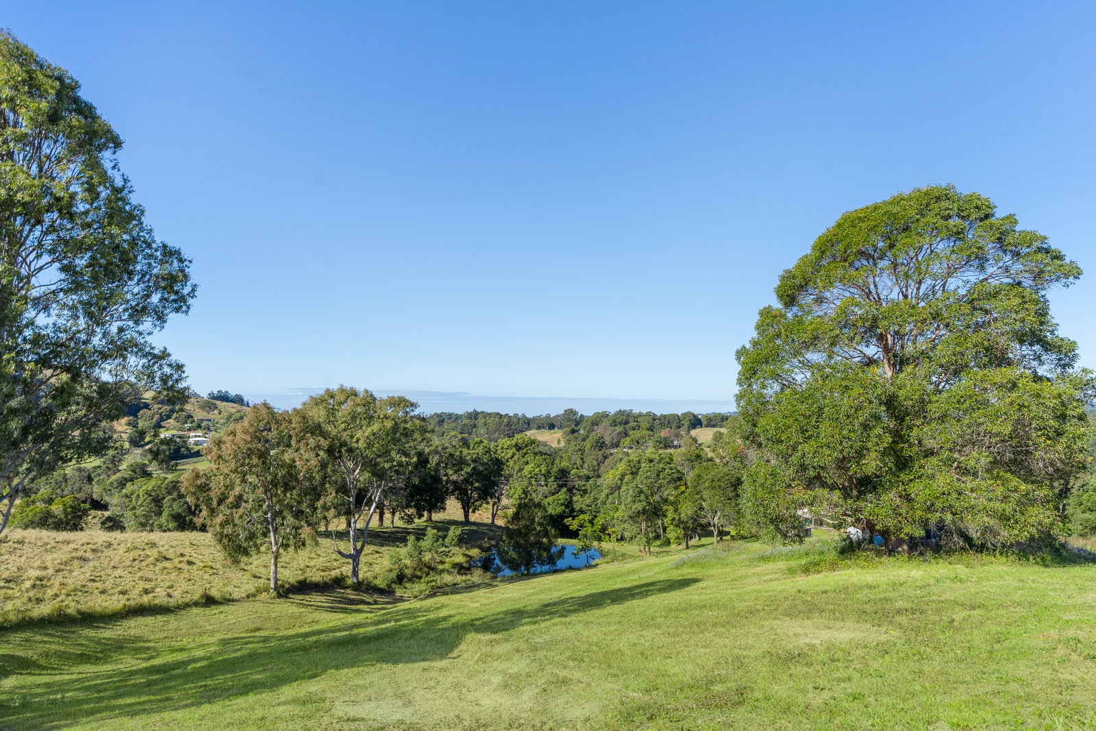 590 Round Mountain Road, Round Mountain, NSW, 2484, Round Mountain - Thumbnail 4