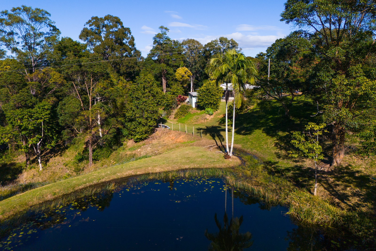 590 Round Mountain Road, Round Mountain, NSW, 2484, Round Mountain - Thumbnail 2