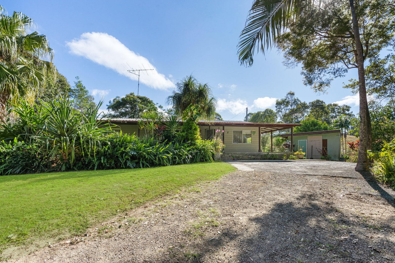 590 Round Mountain Road, Round Mountain, NSW, 2484, Round Mountain - Thumbnail 5