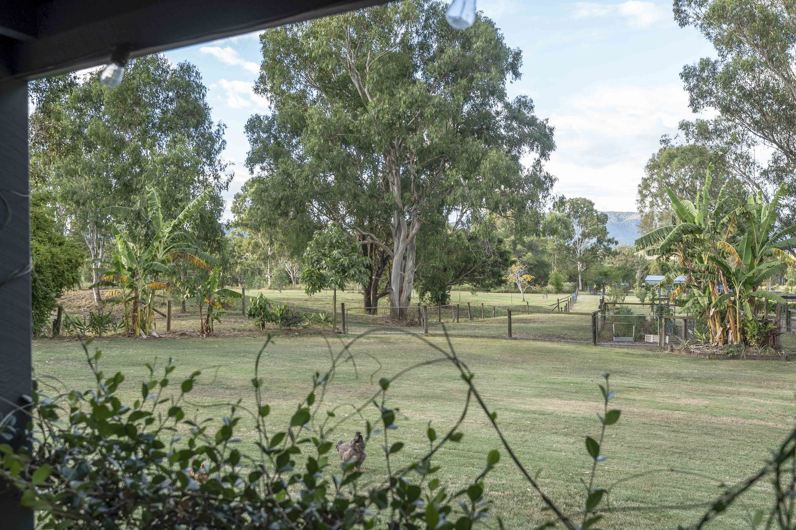 Main listing image for 12 Terragon Road, Mount Archer  QLD  4514