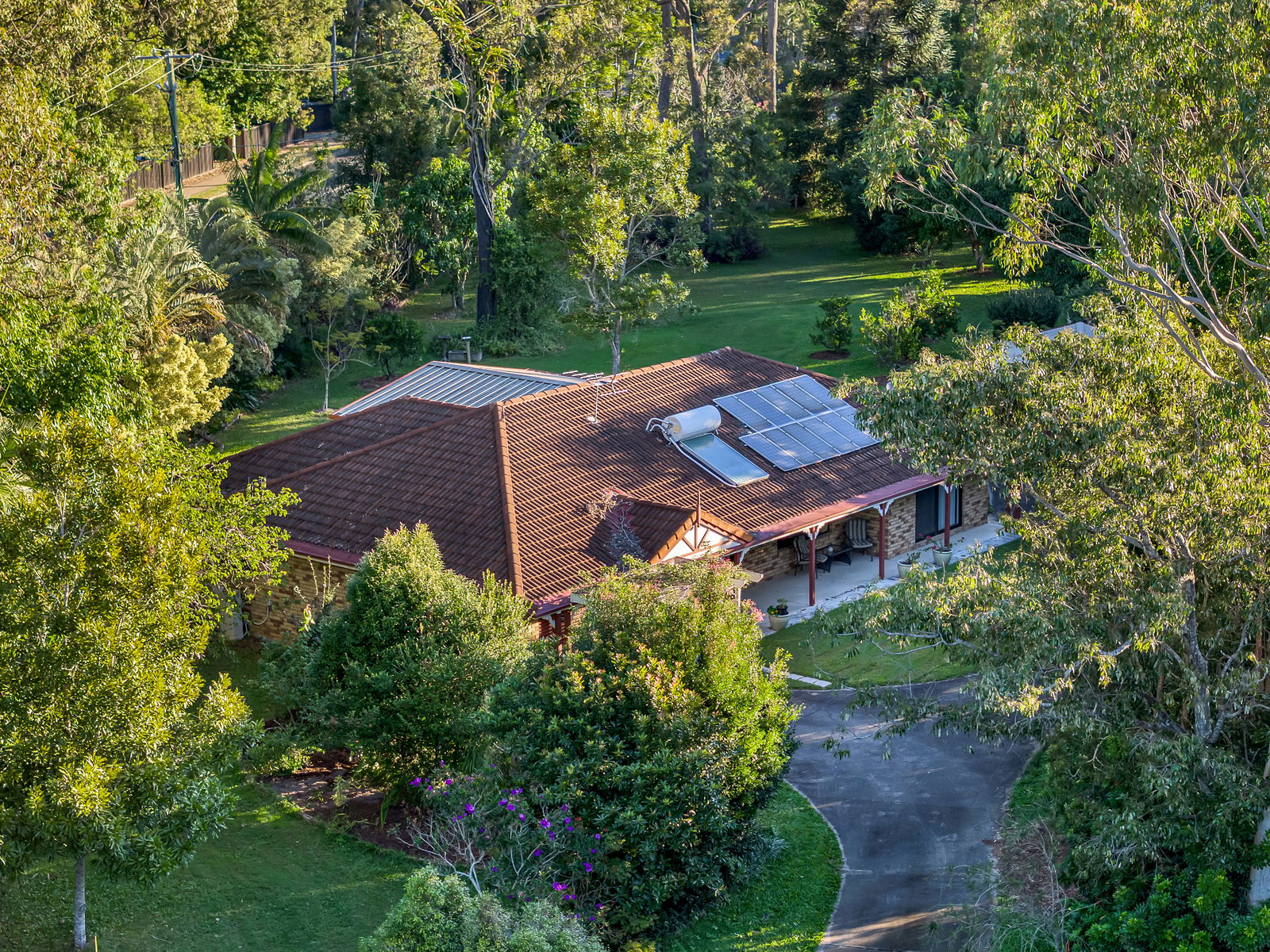 Main listing image for 1 Canopy Place, Burpengary  QLD  4505