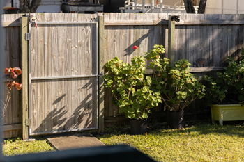 Image 6 for 76 Longland Street, Redcliffe  QLD  4020