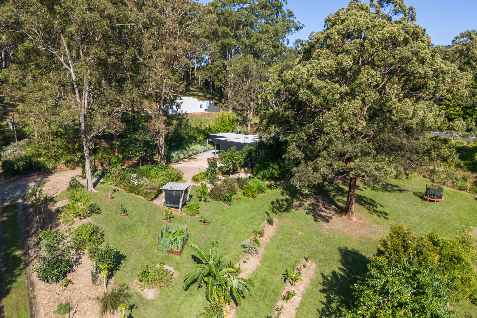 10 North Hill Court, Tanglewood, NSW, 2488, Tanglewood - Thumbnail 2