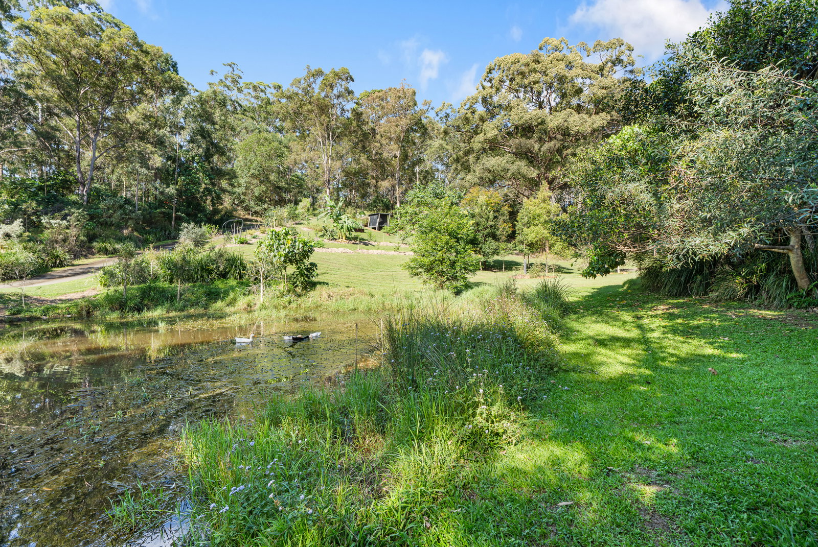 10 North Hill Court, Tanglewood, NSW, 2488, Tanglewood - Thumbnail 6