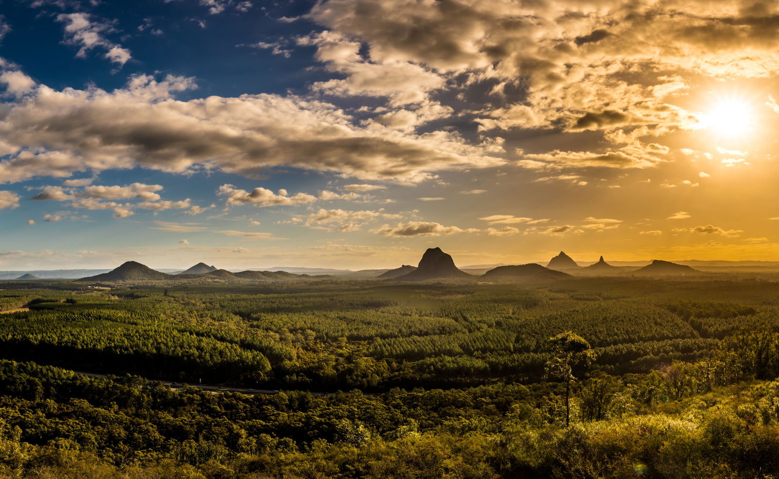 Main listing image for 12 Blackbean Court, Buderim  QLD  4556