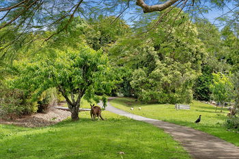 Image 4 for 8 Creek Way, Currumbin Valley  QLD  4223