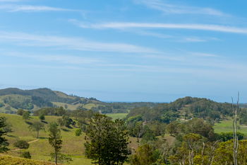 Image 6 for 900 Clothiers Creek Road, Clothiers Creek  NSW  2484