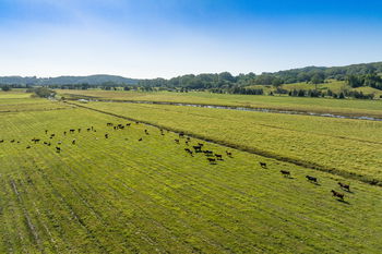 Image 5 for 660 Round Mountain Road, Round Mountain  NSW  2484