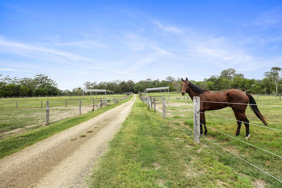 Main listing image for 1507 Cooroy Belli Creek Road, Ridgewood  QLD  4563