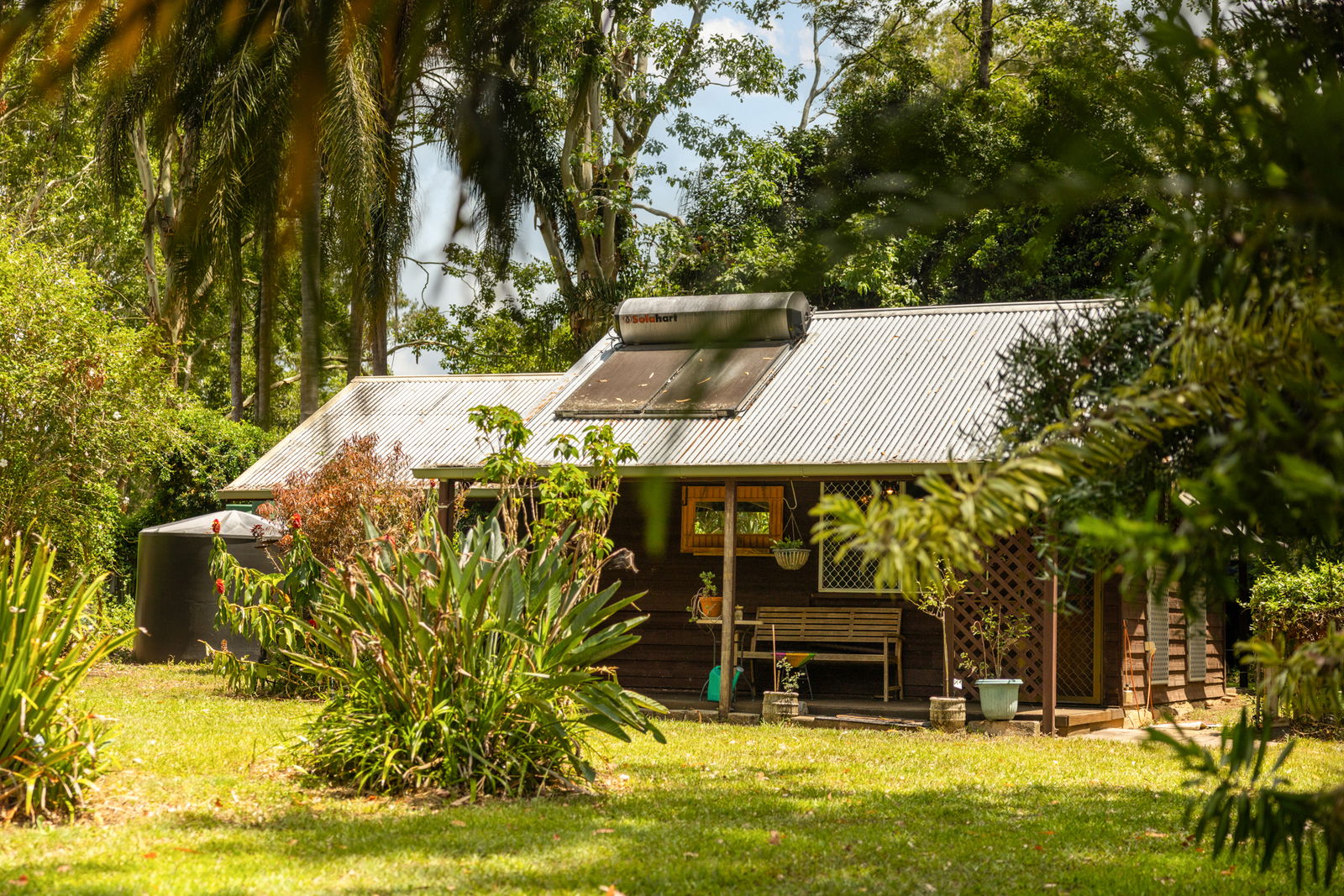 Main listing image for 1731 Maleny Kenilworth Road, Conondale  QLD  4552