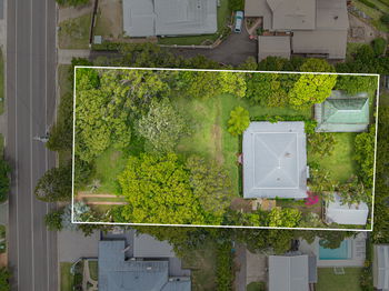 Image 5 for 12 Dixon Road, Buderim  QLD  4556