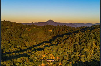 Image 5 for 590 Clothiers Creek Road, Clothiers Creek  NSW  2484