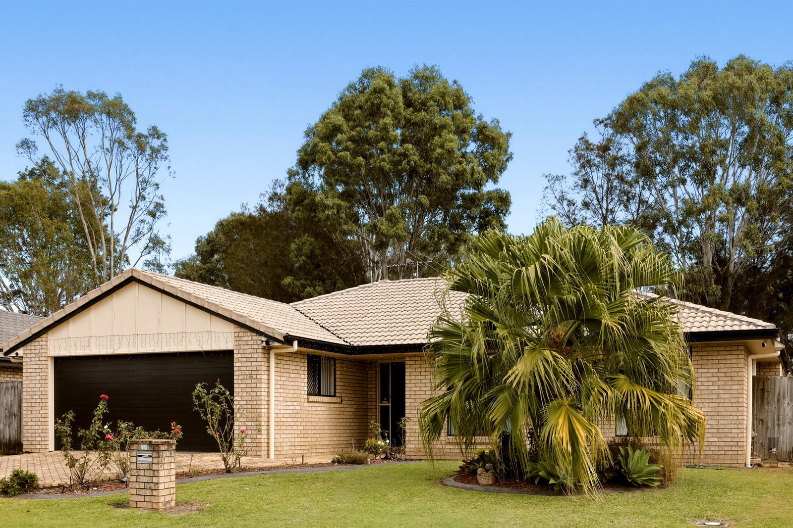 Main listing image for 11 Fenton Court, Caboolture  QLD  4510