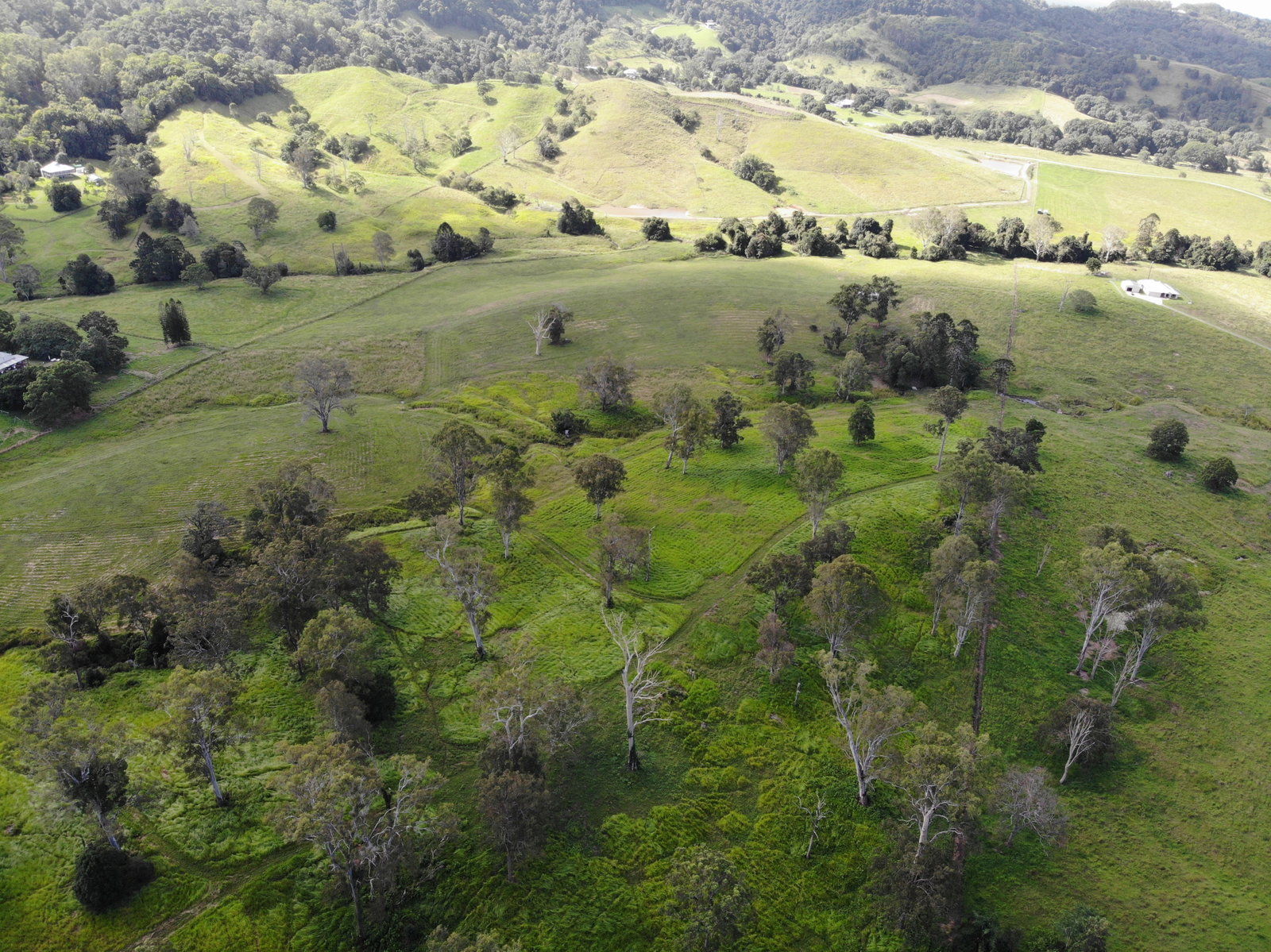 2-28 Pearce Road, Eerwah Vale, QLD, 4562, Eerwah Vale - Thumbnail 4