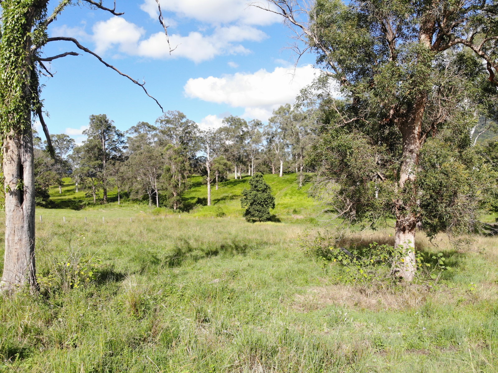 2-28 Pearce Road, Eerwah Vale, QLD, 4562, Eerwah Vale - Thumbnail 7