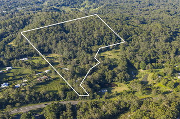 Image 6 for 1354 Eumundi – Noosa Road, Eumundi  QLD  4562