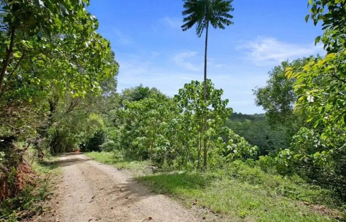 44 Carroo Lane, Ridgewood, QLD, 4563, Ridgewood - Thumbnail 5