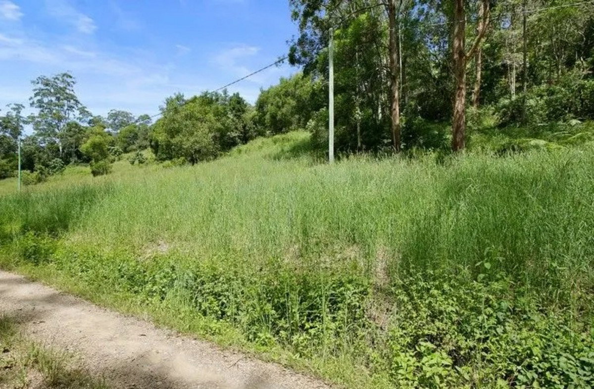 44 Carroo Lane, Ridgewood, QLD, 4563, Ridgewood - Thumbnail 7