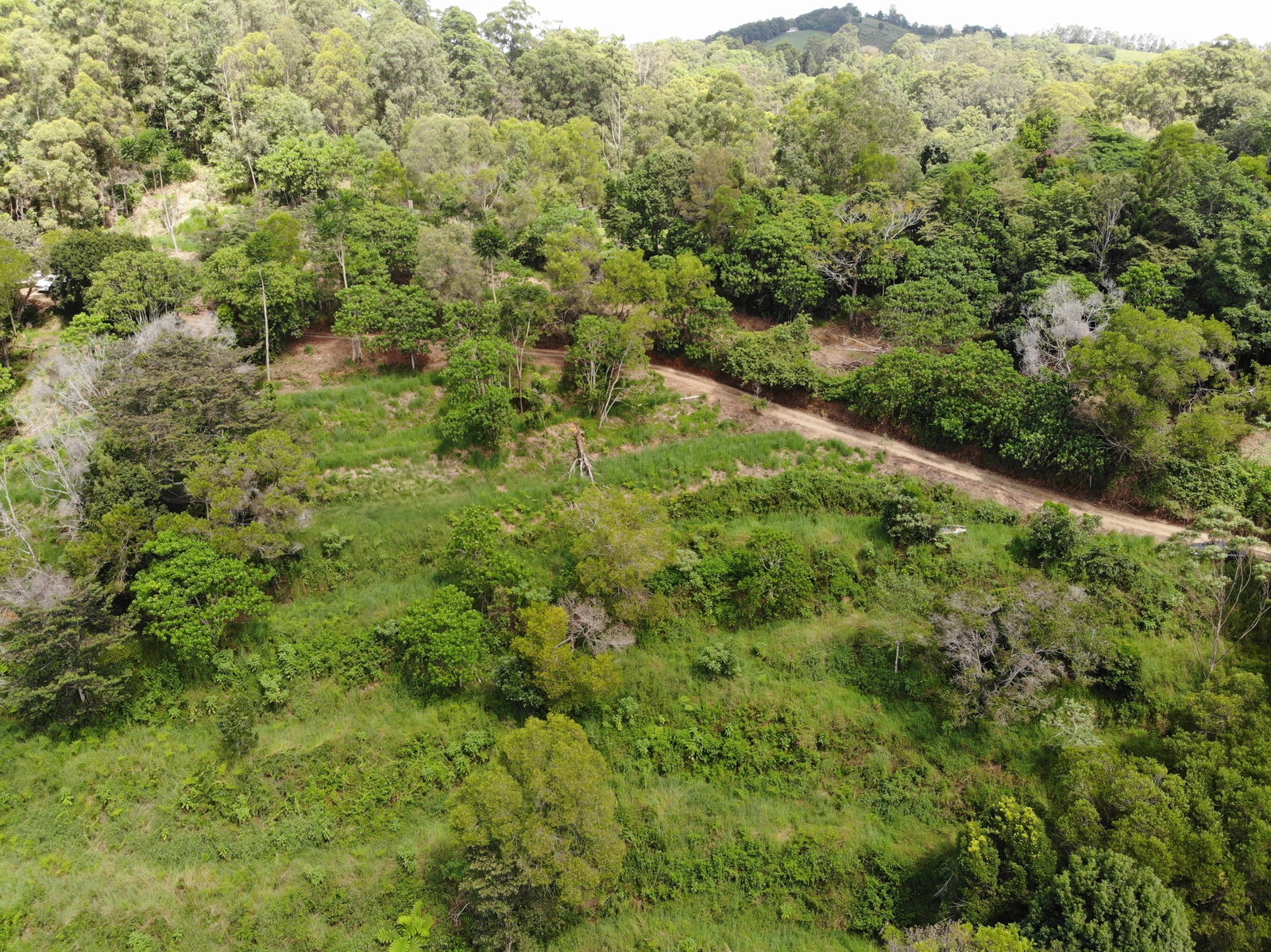 44 Carroo Lane, Ridgewood, QLD, 4563, Ridgewood - Thumbnail 2