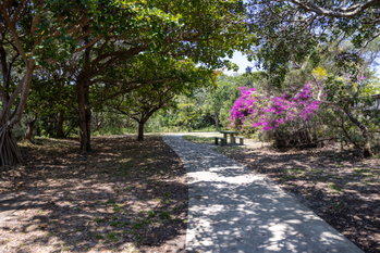 Image 4 for 2/18 Minkara Street, Warana  QLD  4575