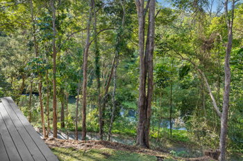 Image 5 for 1171 Tallebudgera Creek Road, Tallebudgera Valley  QLD  4228