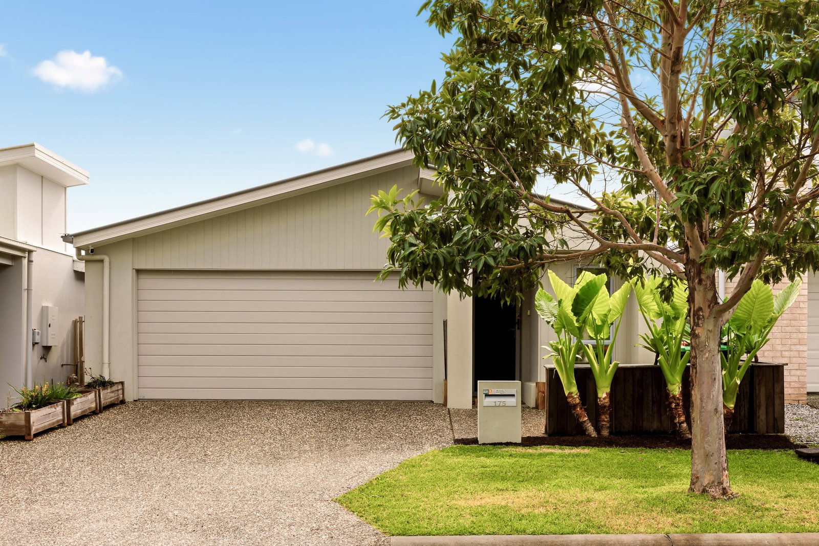 Main listing image for 175 Prosperity Street, Narangba  QLD  4504