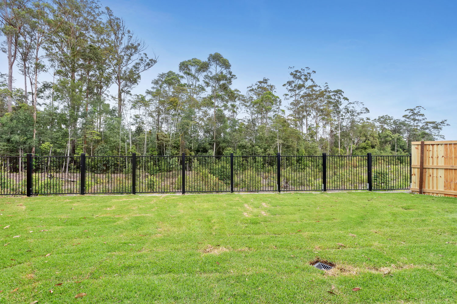 60 Palm Forest Circuit, Forest Glen, QLD, 4556, Forest Glen - Thumbnail 8