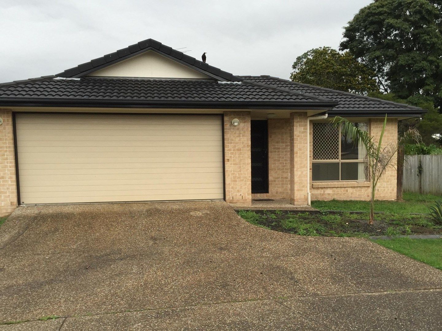 Main listing image for 6A Webb Rd, Loganlea  QLD  4131