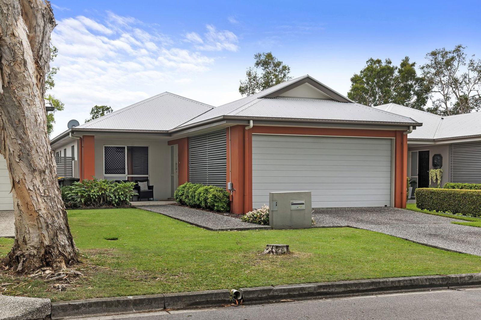 Main listing image for 38 Webster Ave, Hendra  QLD  4011