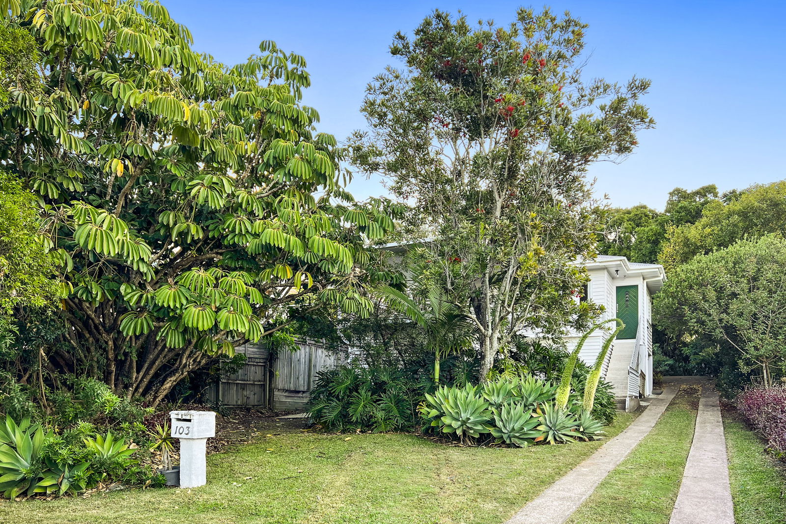 Main listing image for 101 Cambridge St, Carina Heights  QLD  4152