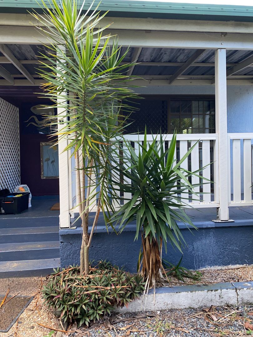 Main listing image for 1/33 Conley St, Clontarf  QLD  4019