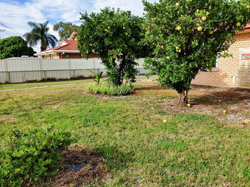 Image 3 for 24 Lime St, Redcliffe  QLD  4020