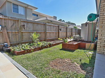 Image 4 for 13 Highbridge Circuit, Carseldine  QLD  4034