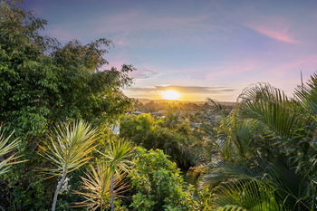 Image 6 for 10 Correa Ct, Elanora  QLD  4221