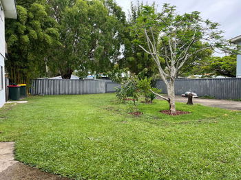 Image 6 for 22A Cunningham St, Tweed Heads South  NSW  2486