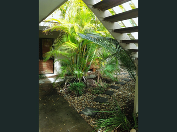 Image 6 for 1/6 Nyrang Ave, Palm Beach  QLD  4221