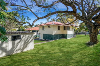 Image 4 for 16 Camoola Street, Keperra  QLD  4054