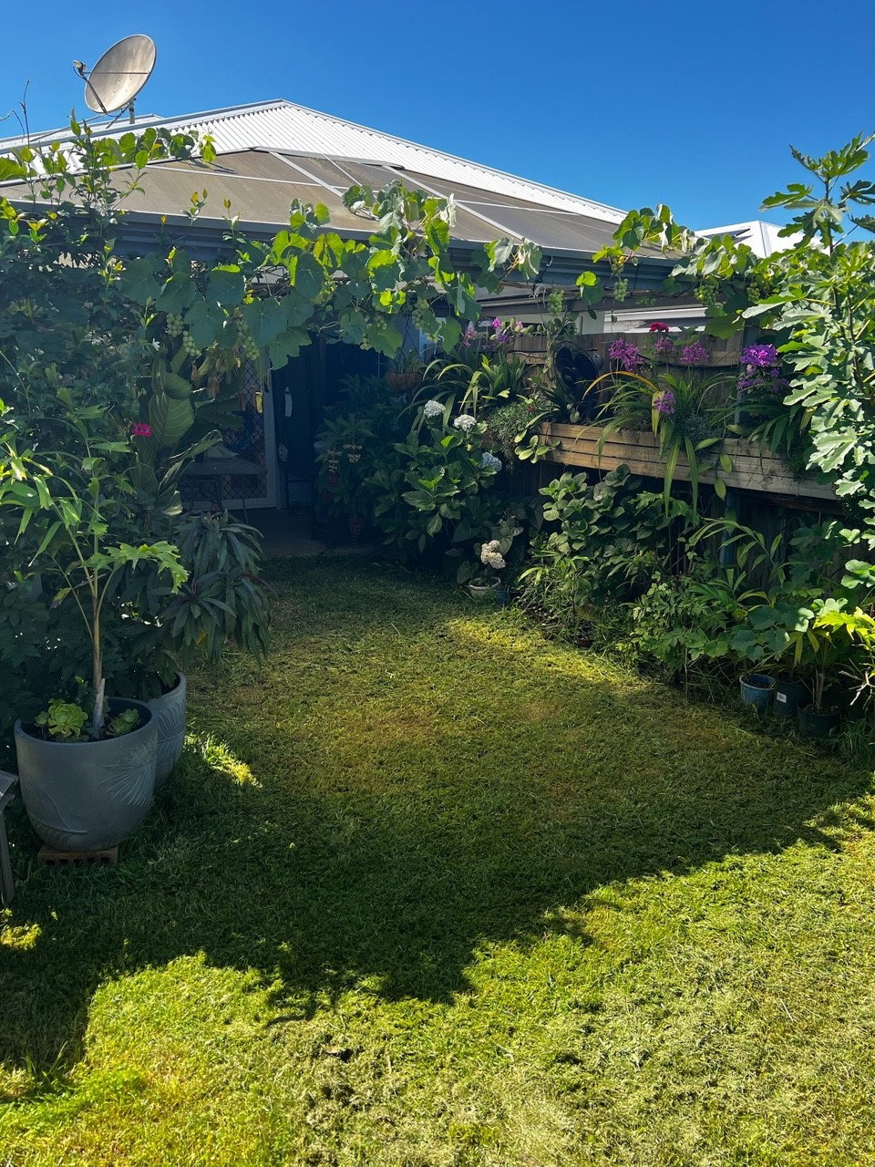 Main listing image for 1/50 Paddington St, Bellmere  QLD  4510
